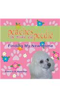 Peaches The Private Eye Poodle