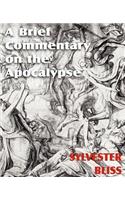 A Brief Commentary on the Apocalypse