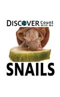 Discover Snails