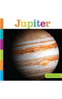 Jupiter: (Seedlings)