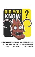 Did You Know?