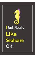 I Just Really Like Seahorse, OK !