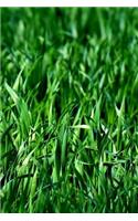 Meadow Notebook