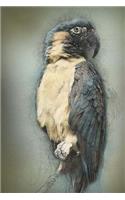 Parrot Notebook