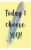 Today I Choose Joy: Daily Goal Planner - Journal - Notebook - Organise Your Life - Plan That Project - Achieve That Target - Stunning Glossy, Feather Designer Cover And