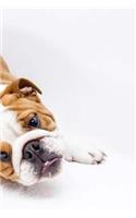 Puppy Notebook