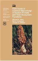 Field Guide to Common Macrofungi in Eastern Forests and Their Ecosystem Function
