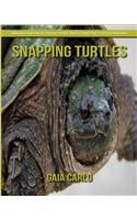 Snapping Turtles