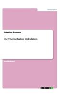Die Thermohaline Zirkulation