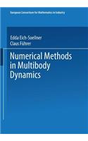 Numerical Methods in Multibody Dynamics