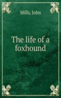 THE LIFE OF A FOXHOUND