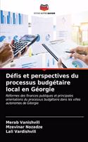 Défis et perspectives du processus budgétaire local en Géorgie