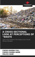 A Cross-Sectional Look at Perceptions of 
