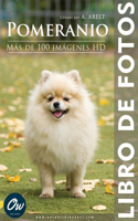 Pomeranio: Libro de fotos - Más de 100 imágenes HD