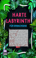 Harte Labyrinthbücher für Erwachsene Buch 2: 100 Labyrinth-Rätsel für kluge Leute