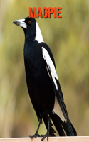 Magpie: Amazing Facts about Magpie