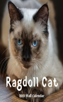 Ragdoll Cat Wall Calendar 2021