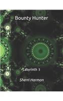 Bounty Hunter: Labyrinth 3