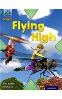 Project X Origins: Green Book Band, Oxford Level 5: Flight: Flying High