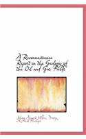 A Reconnaissance Report on the Geology of the Oil and Gas Fields