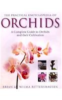 The Practical Encyclopedia of Orchids