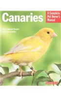 Canaries: Everything about Purchase, Care, and Nutrition