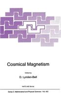 Cosmical Magnetism