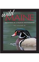 Wild Maine