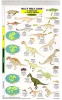 Mac's Field Guides: North American Dinosaurs