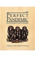 The Perfect Pandemic: How Mass-Denial Turned a Curable Brain Disease Into the Pandemic to End All Pandemics