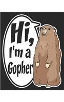 Hi, I'm A Gopher