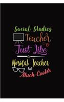 Social Studies Teacher Just Like a Normal Teacher But Much Cooler