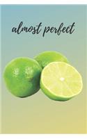 Lime Lovers Blank Lined Journal Notebook: A daily diary, composition or log book, gift idea for people who love limes!!