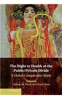 Right to Health at the Public/Private Divide