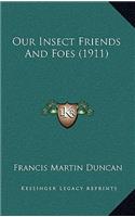 Our Insect Friends and Foes (1911)