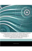 Articles on Paleocene Mammals, Including