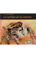 Los Sentidos de Los Insectos: (Comparar Insectos)