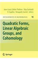 Quadratic Forms, Linear Algebraic Groups, and Cohomology
