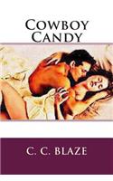 Cowboy Candy: The Country Romance Collection