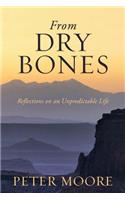 From Dry Bones: Reflections on an Unpredictable Life(English)