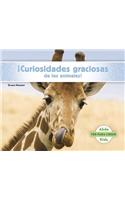 ¡Curiosidades Graciosas de Los Animales!