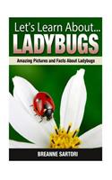 Ladybugs: Amazing Pictures and Facts about Ladybugs