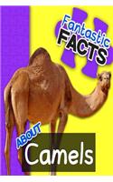 Fantastic Facts about Camels: Illustrated Fun Learning for Kids: Illustrated Fun Learning for Kids