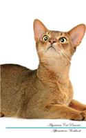 Abyssinian Cat Affirmations Workbook Abyssinian Cat Presents: Positive and Loving Affirmations Workbook. Includes: Mentoring Questions, Guidance, Supporting You.