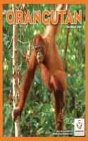 ORANGUTAN SQUARE WALL CALENDAR 2021