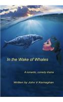 In the wake of Whales