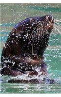 Happy Seal Splashing in the Water Journal
