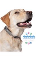 2020 Labrador Retriever Dog Planner - Weekly - Daily - Monthly