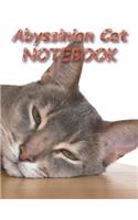 Abyssinian Cat NOTEBOOK: Notebooks and Journals 110 pages (8.5"x11")