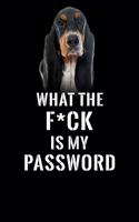 What The F*CK Is My Password, Basset Hound